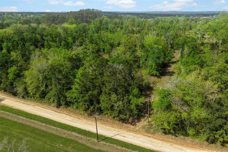 173 Townley Ranch Drive, Huntsville, TX 77320 - #2