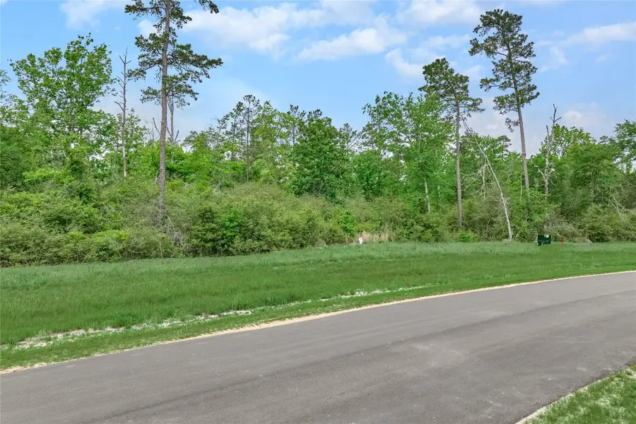 11555 Inspiration Drive, Willis, TX 77378 - #3