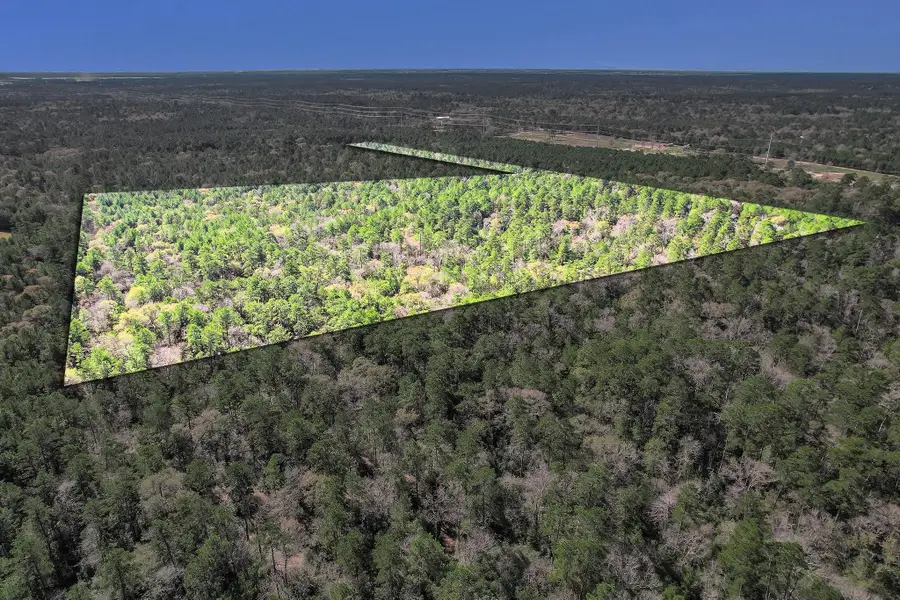 TBD Cr 302, Plantersville, TX 77363 - #3