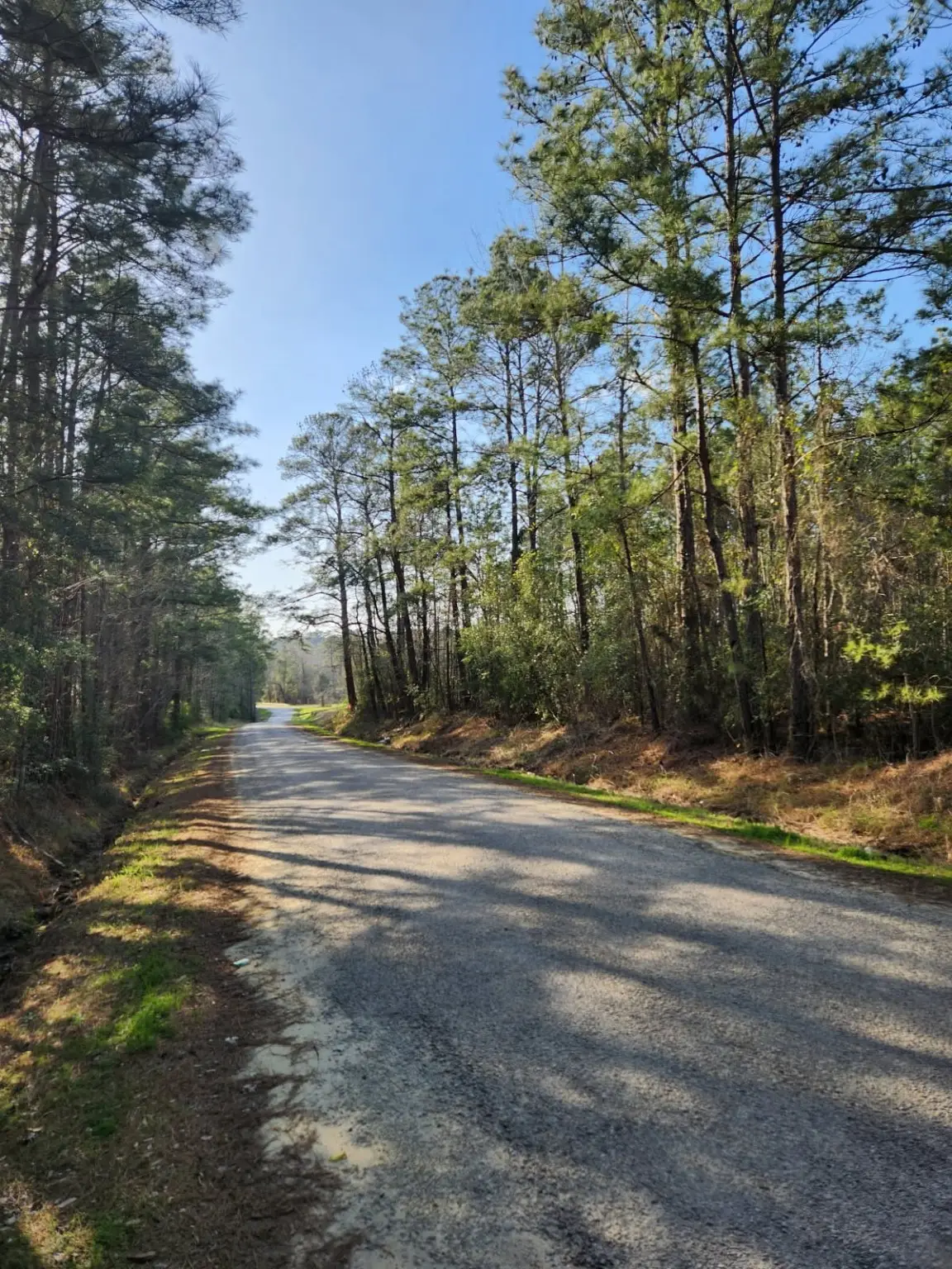 1038 Counts Rd, Point Blank, TX 77364 - Image #1