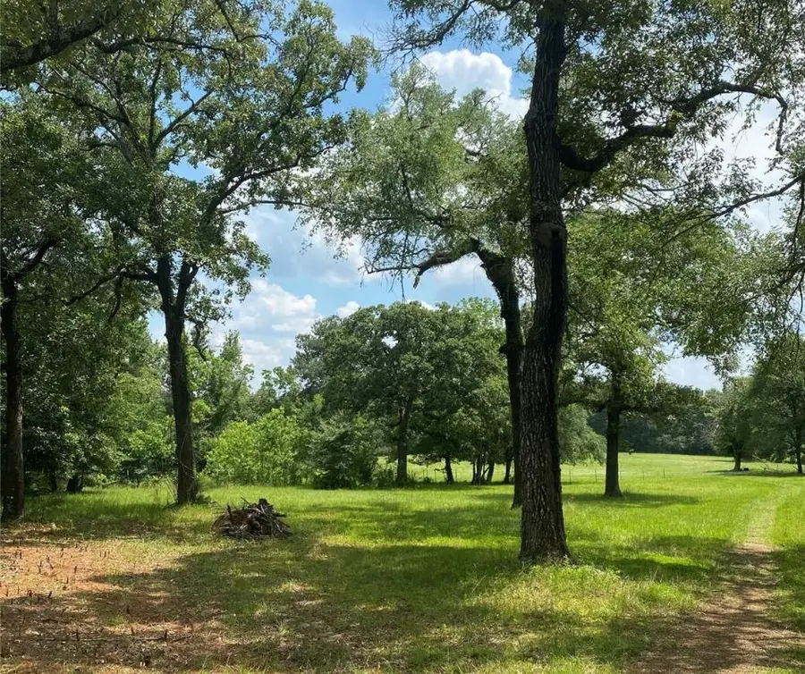 3301 Fm 2693 Road W, New Waverly, TX 77358 - #2