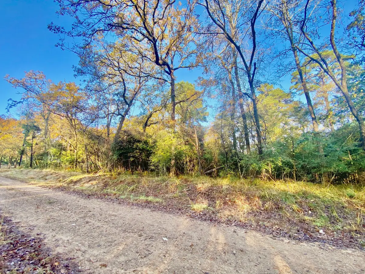 TBD Lakeview Circle, Crockett, TX 75835 - #1