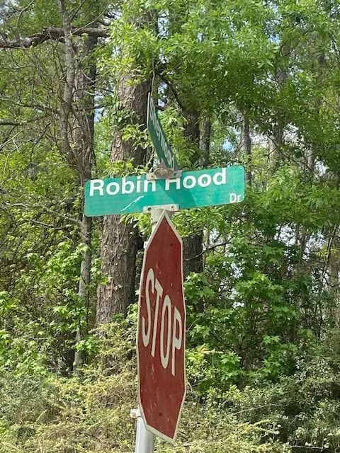 0 Robin Hood Lane, Shepherd, TX 77371 - #1