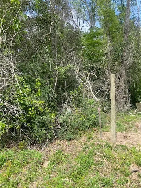 0 Robin Hood Lane, Shepherd, TX 77371 - #2