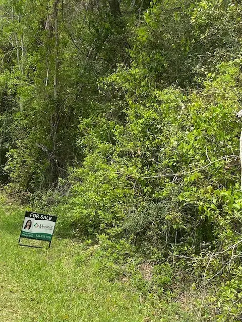 0 Robin Hood Lane, Shepherd, TX 77371 - #3