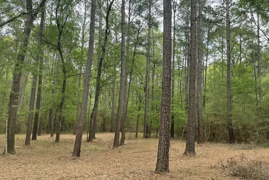 Lot 2&3 Remington Road, Huntsville, TX 77340 - #3