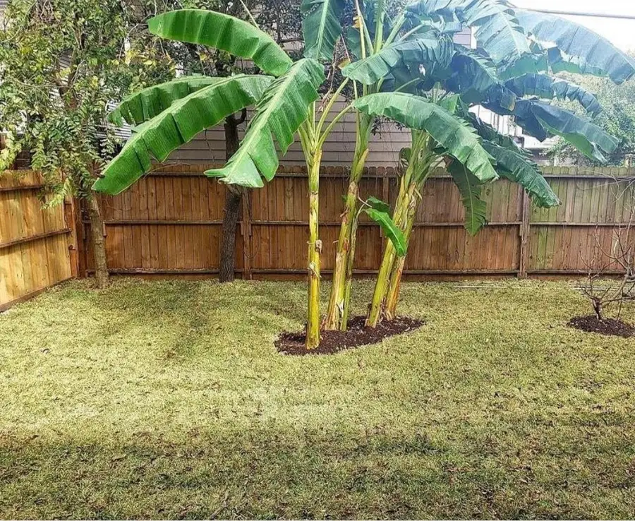 4313 Polk Street, Houston, TX 77023 - #3