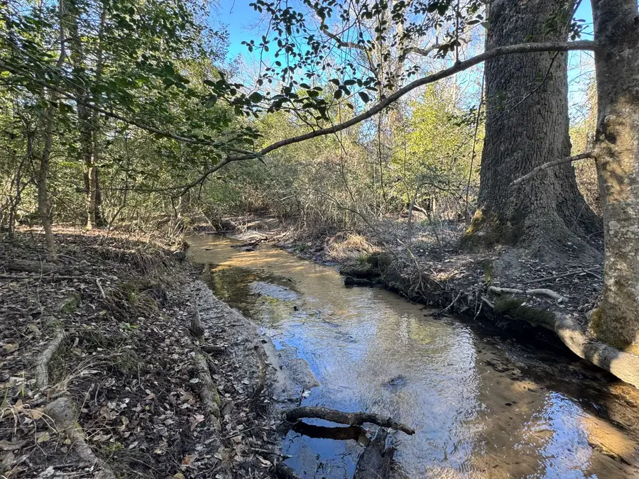 0 Sycamore Branch Drive, Hilltop Lakes, TX 77871 - #3