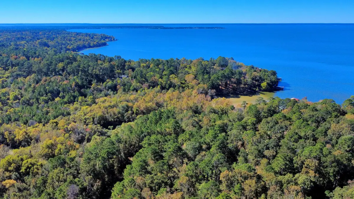 TBD Deer Ridge Lot 73 Drive, Livingston, TX 77351 - Image #1