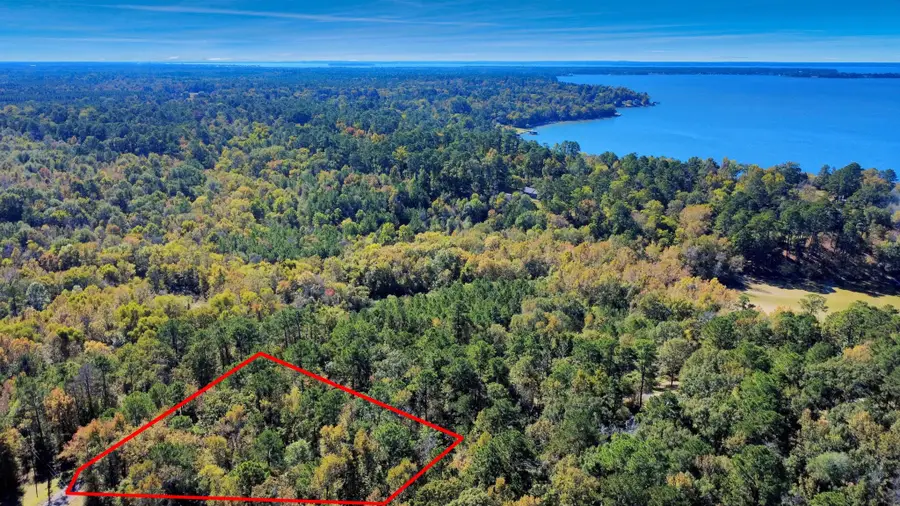 TBD Deer Ridge Lot 73 Drive, Livingston, TX 77351 - Image #2