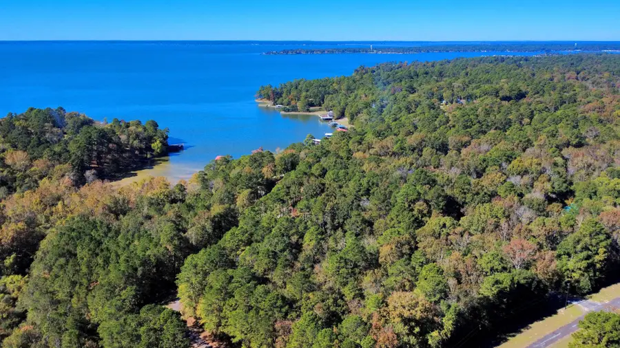 TBD Deer Ridge Lot 73 Drive, Livingston, TX 77351 - Image #3