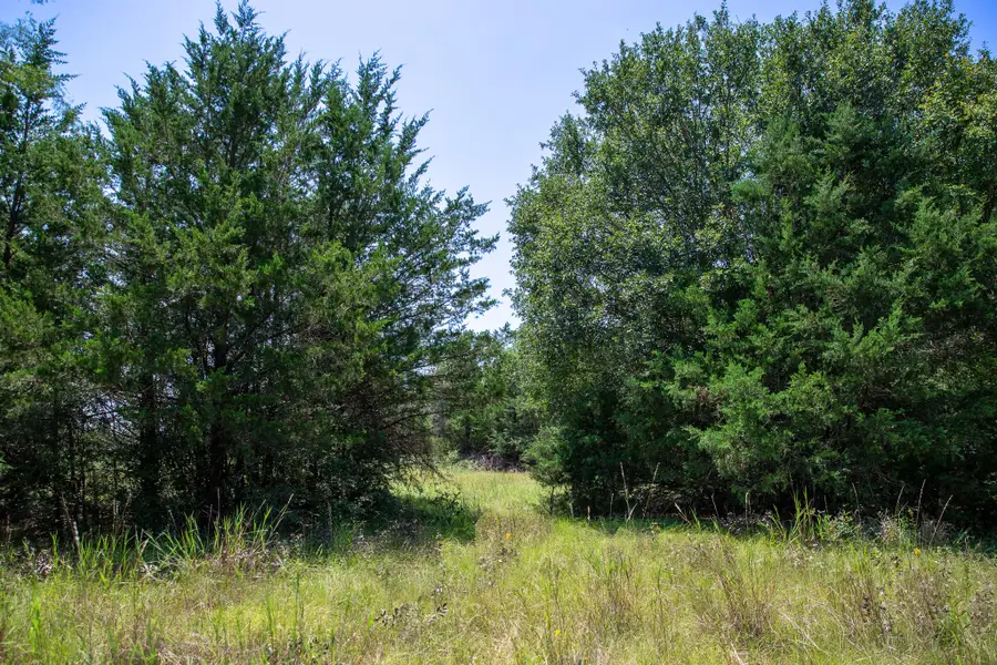 Lot 2 Rose Hill Road, Calvert, TX 77837 - Image #3