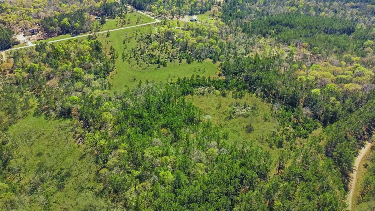 401 Big Buck Drive, Cleveland, TX 77328 - #1