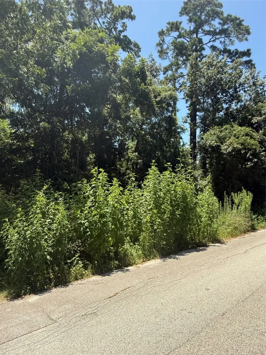0000000 Big Deer Drive, Northeast Harris, TX 77532 - Image #2