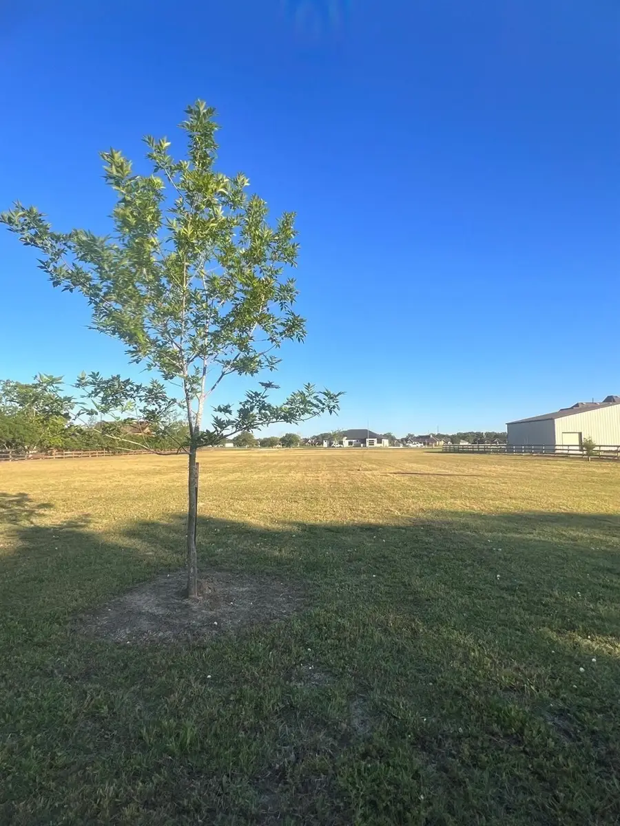13702 Lakeview Meadow Drive, Richmond, TX 77469 - #2