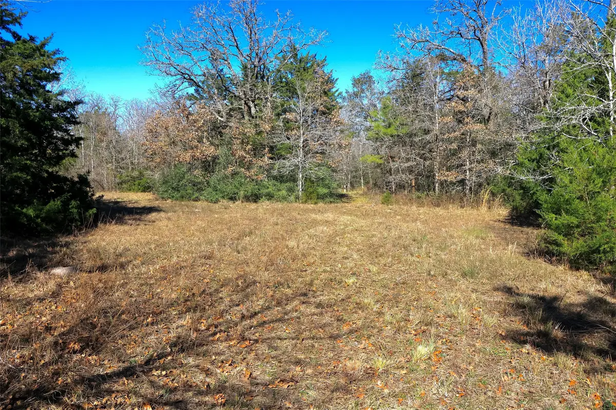 5.002 Acres Winding Meadow Drive, Bedias, TX 77831 - #1