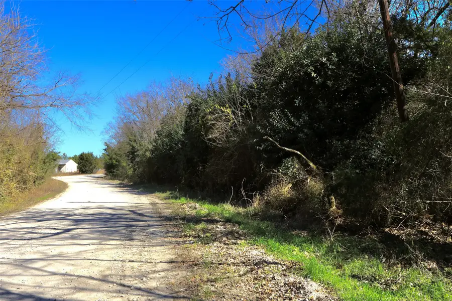 5.002 Acres Winding Meadow Drive, Bedias, TX 77831 - #3