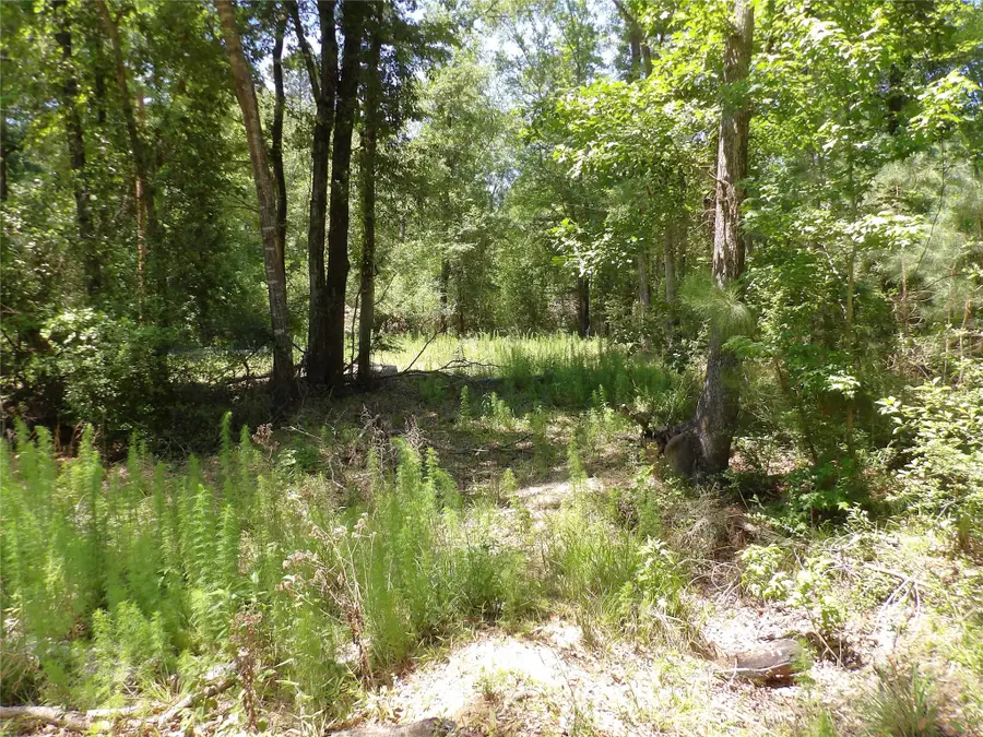 345 Cr 1080, Kennard, TX 75847 - #3