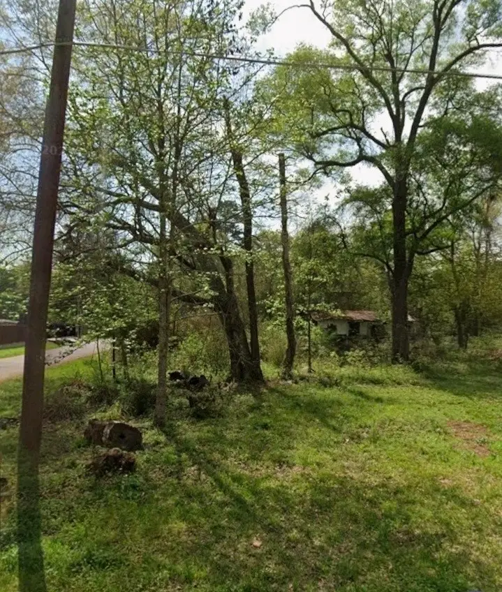 TBD Peach Creek, New Caney, TX 77357 - #1