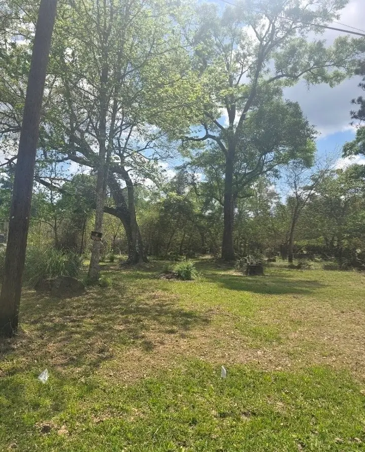 TBD Peach Creek, New Caney, TX 77357 - #3