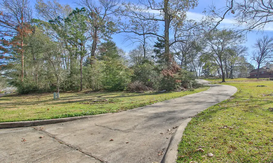 160 Lake Oaks Boulevard, Coldspring, TX 77331 - Image #2