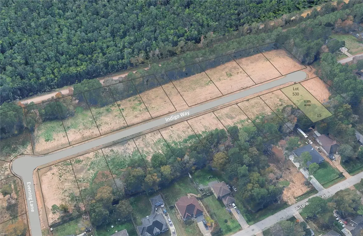 Lot 530 Indigo Way, Porter, TX 77365 - #1