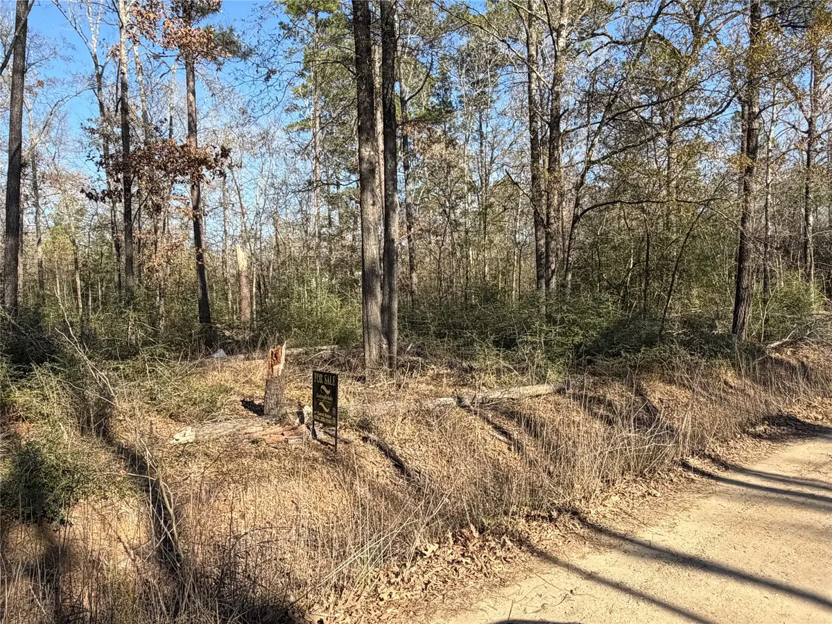 TBD Wild Bird Lane, Livingston, TX 77351 - Image #1