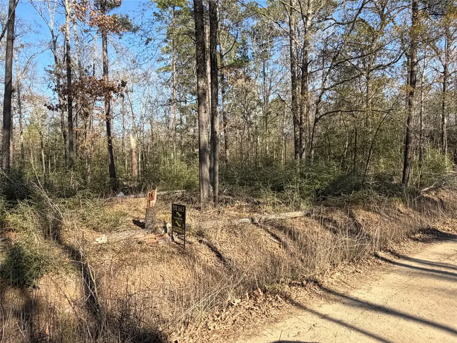 TBD Wild Bird Lane, Livingston, TX 77351 - Image #2