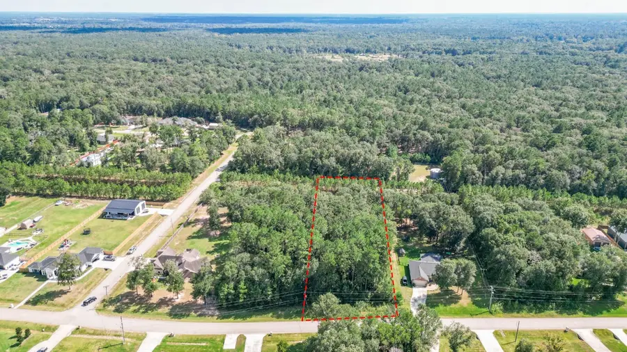 27538 Rio Blanco Drive, Splendora, TX 77372 - #2