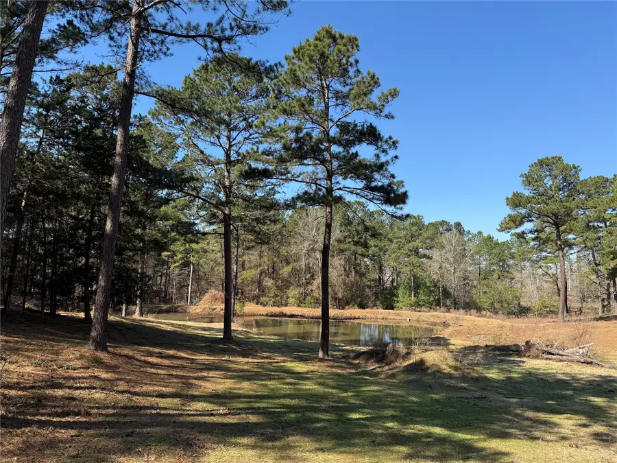 3984 County Road 3100, San Augustine, TX 75972 - #3