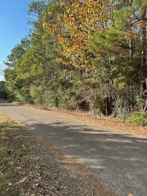 0000 Cathey Lane, Navasota, TX 77868 - Image #1