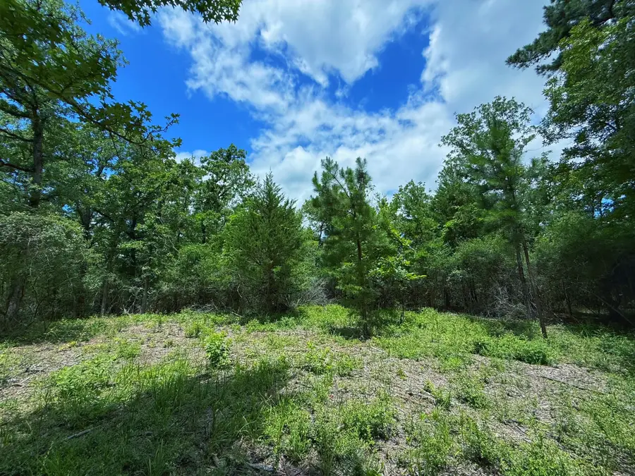 TBD Cr 295, Oakwood, TX 75855 - #3