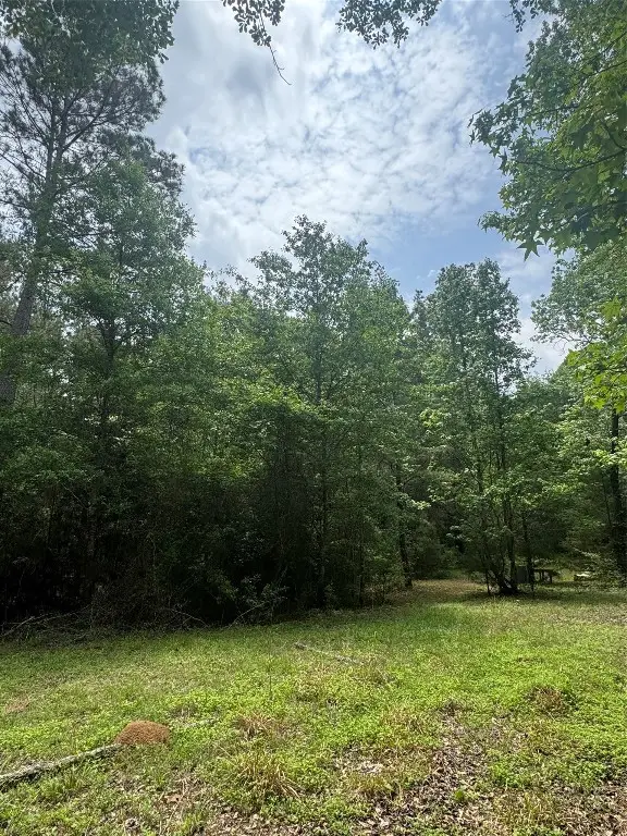 TBD Possum Walk Lane, Huntsville, TX 77358