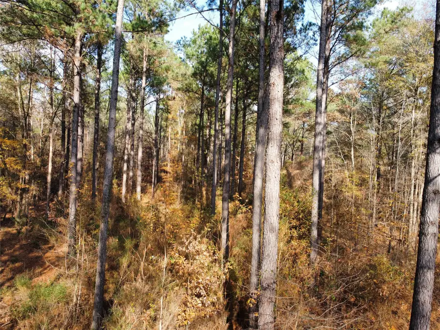 7525 E State Highway 154 Highway E, Gilmer, TX 75645 - Image #3