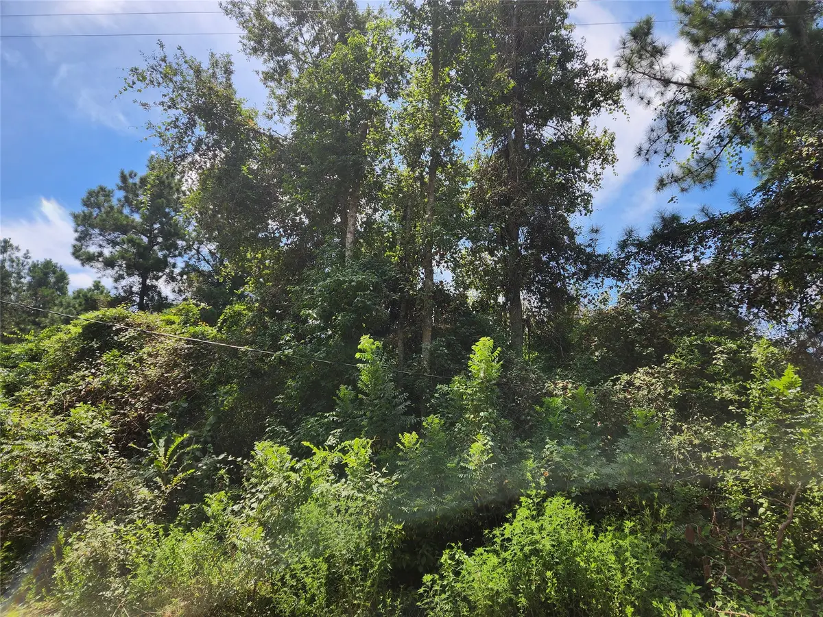 Lot 26 Mayhaw Lane, Plantersville, TX 77363 - #1