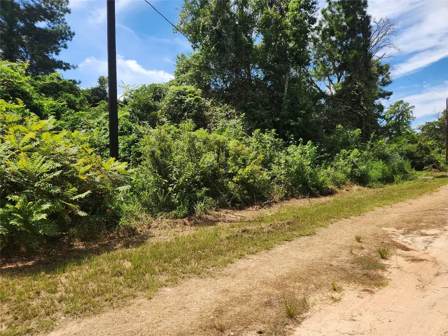 Lot 26 Mayhaw Lane, Plantersville, TX 77363 - #2