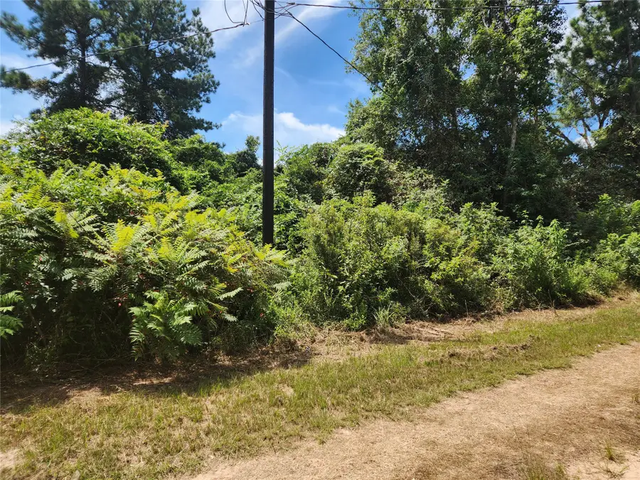 Lot 26 Mayhaw Lane, Plantersville, TX 77363 - #3