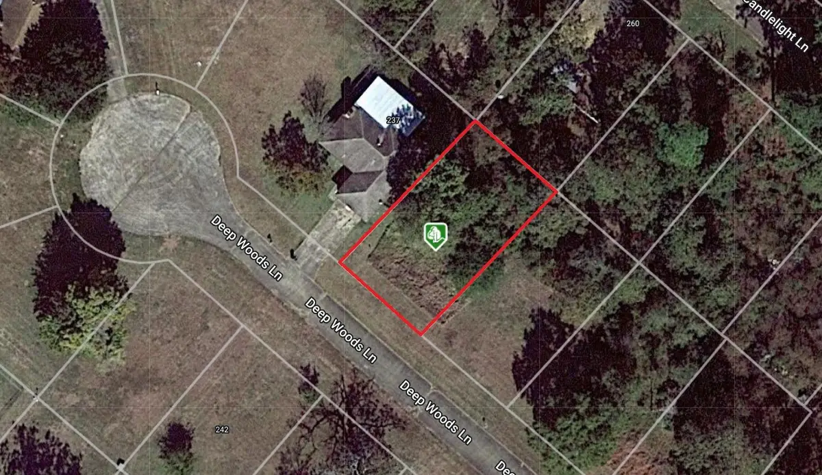 245 Deep Woods Lane, Livingston, TX 77351 - #1