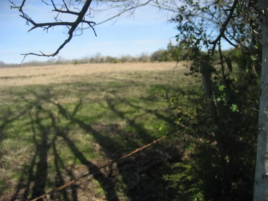 00 Cr 3057, Crockett, TX 75835 - #3