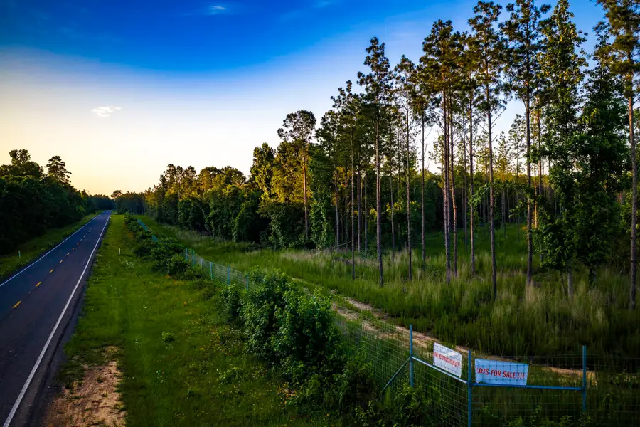 TBD lot 6 Fm 1276, Livingston, TX 77351 - #3