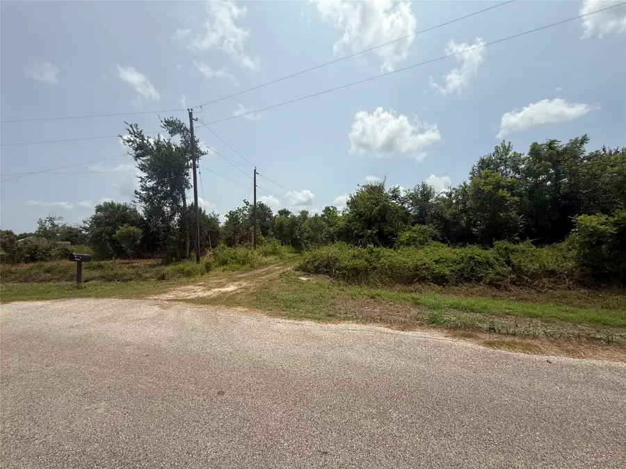 4337 County Road 659a, Brazoria, TX 77422 - #3