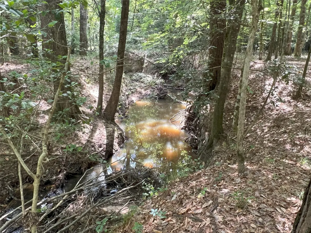 TBD Upper Leggett Road, Livingston Onalaska, TX 77350 - Image #1