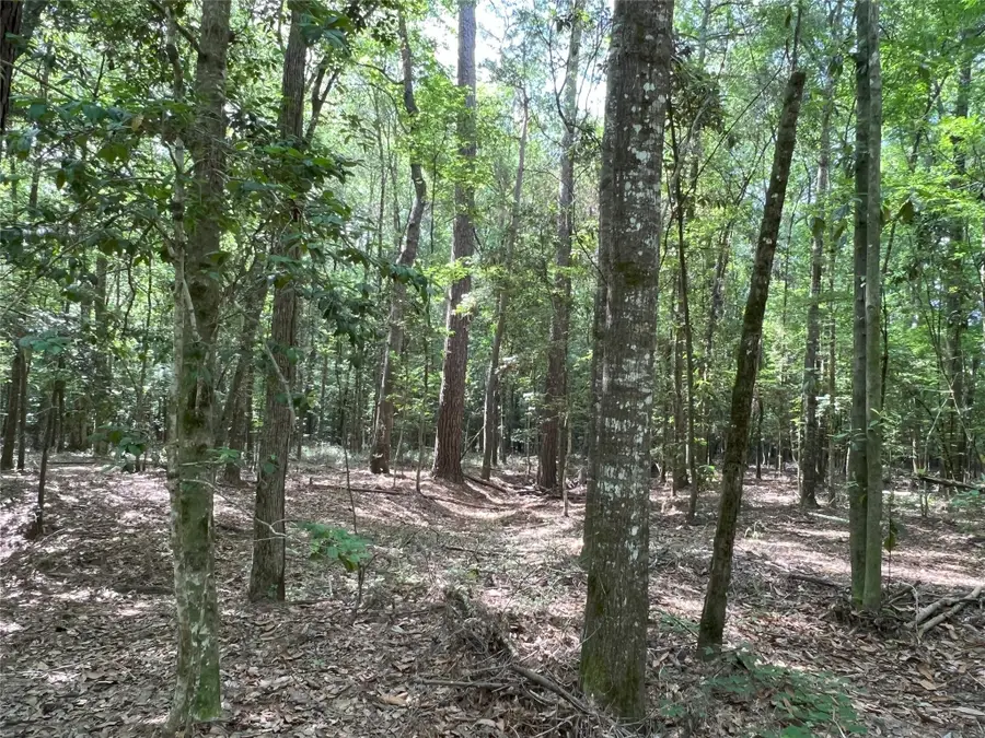 TBD Upper Leggett Road, Livingston Onalaska, TX 77350 - Image #2