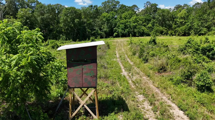 TBD Upper Leggett Road, Livingston Onalaska, TX 77350 - Image #3