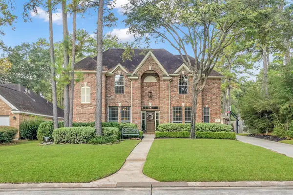 14 S Bristol Oak Circle, The Woodlands, TX 77382
