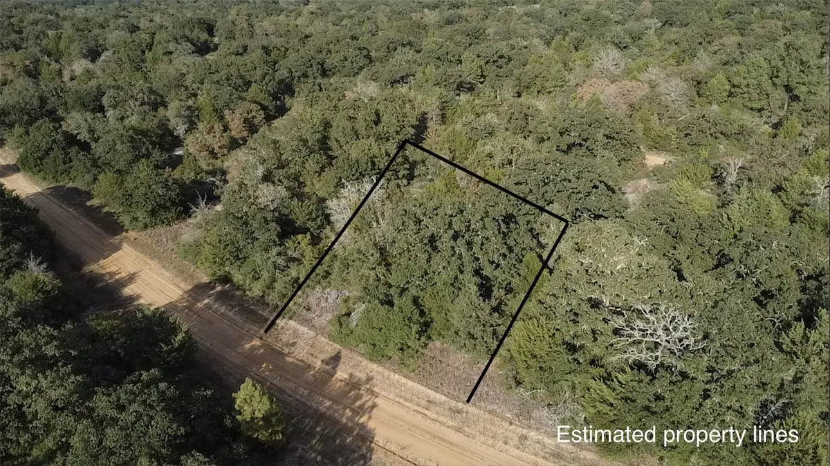 TBD Pin Oak, Hilltop Lakes, TX 77871 - #1