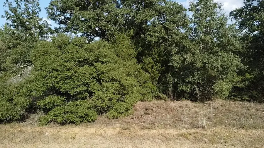 TBD Pin Oak, Hilltop Lakes, TX 77871 - #3