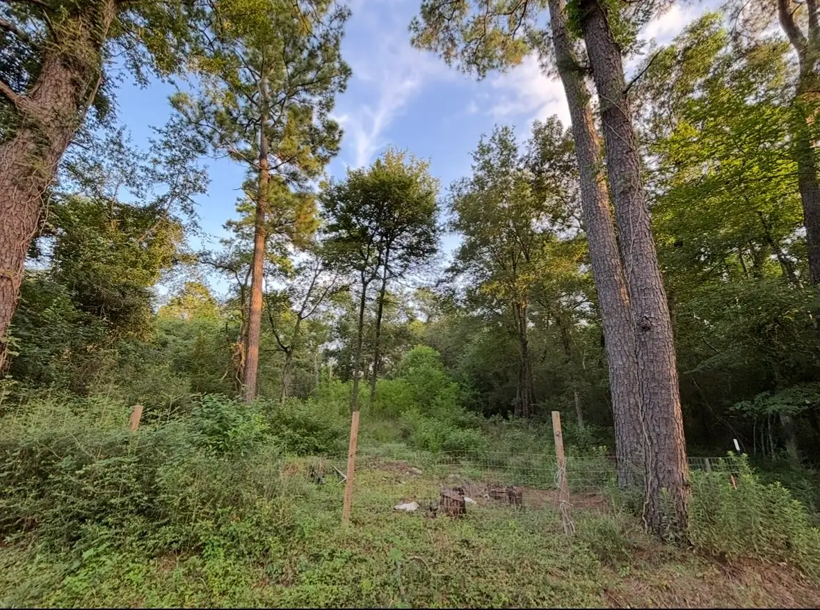 0 Guinn Avenue, Houston, TX 77044 - Image #1