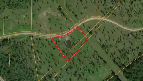 Lot 12 Eagle Falls Boulevard, Trinity, TX 75862