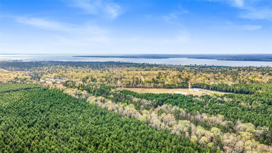Lot 12 Eagle Falls Boulevard, Trinity, TX 75862 - #2